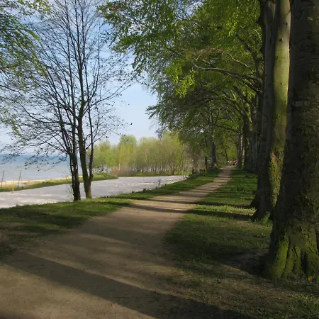 Aparta *